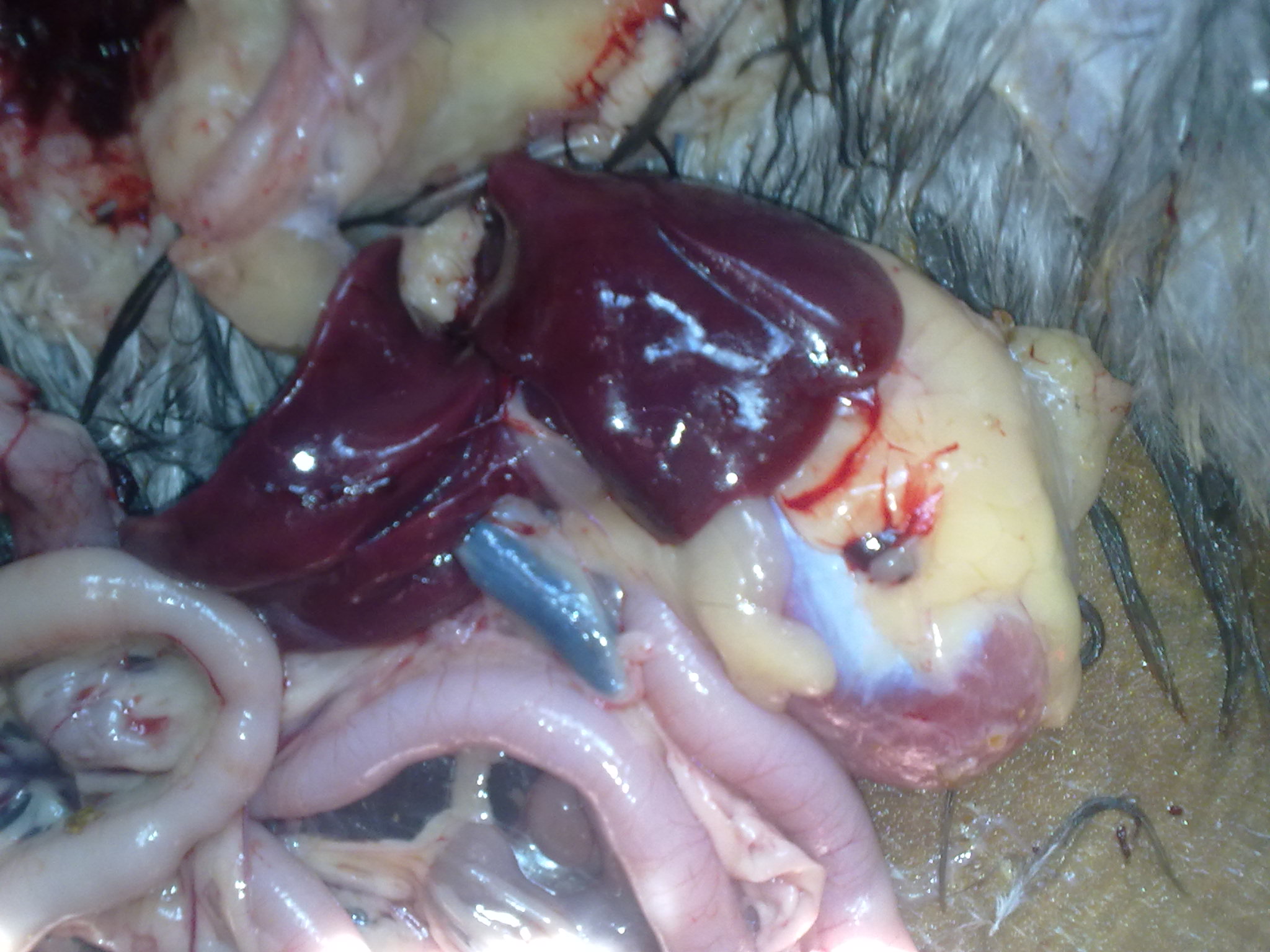 20110812254.jpg