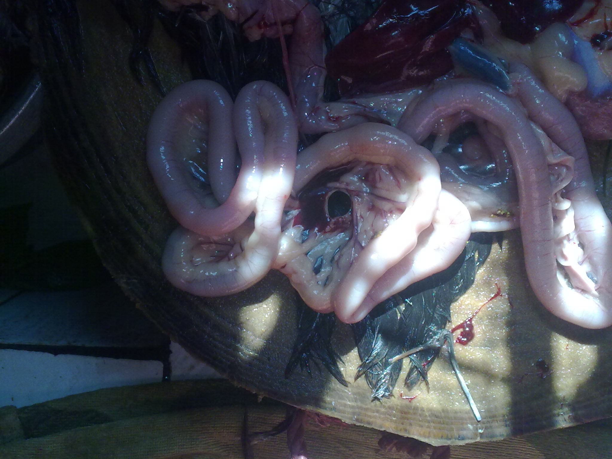 20110812255.jpg