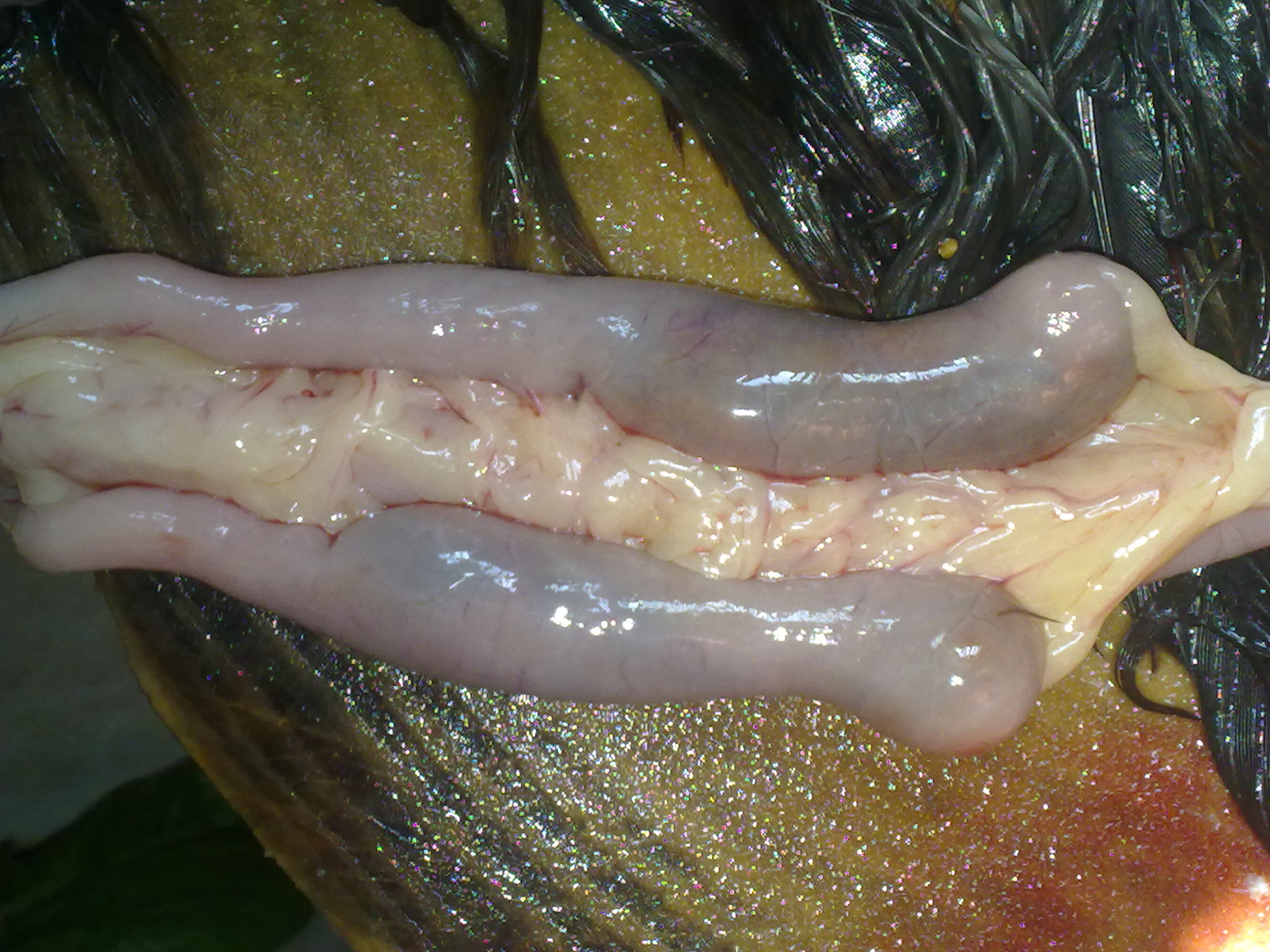 20110812258.jpg