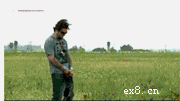 52.gif