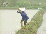 43.gif