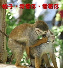 4.gif