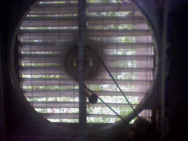 IMG0039A.jpg