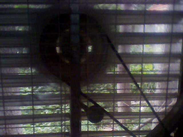 IMG0040A.jpg