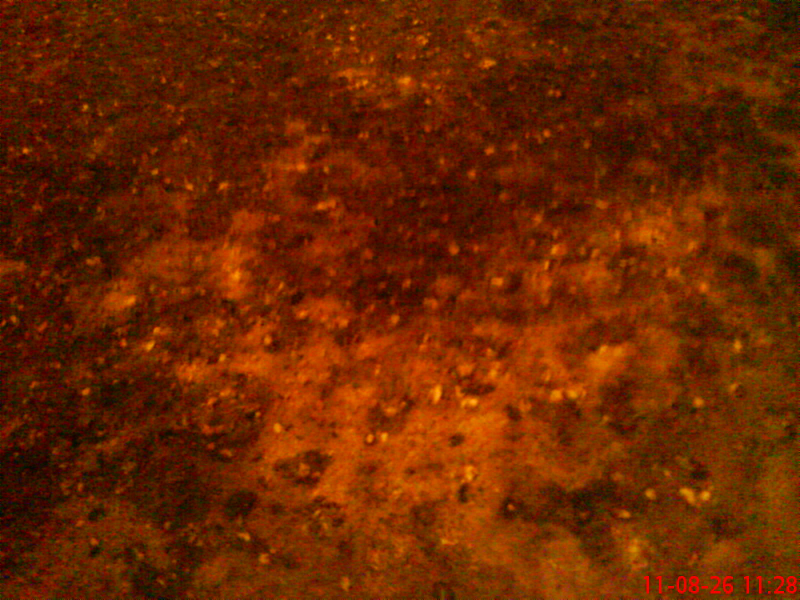 DSC00142.JPG