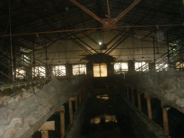 DSC06850.JPG