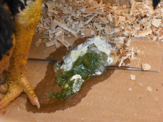 DSCF4202.JPG