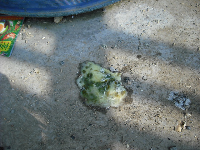 DSCF4207.JPG