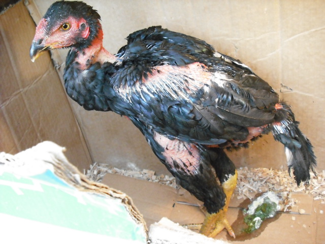 DSCF4205.JPG