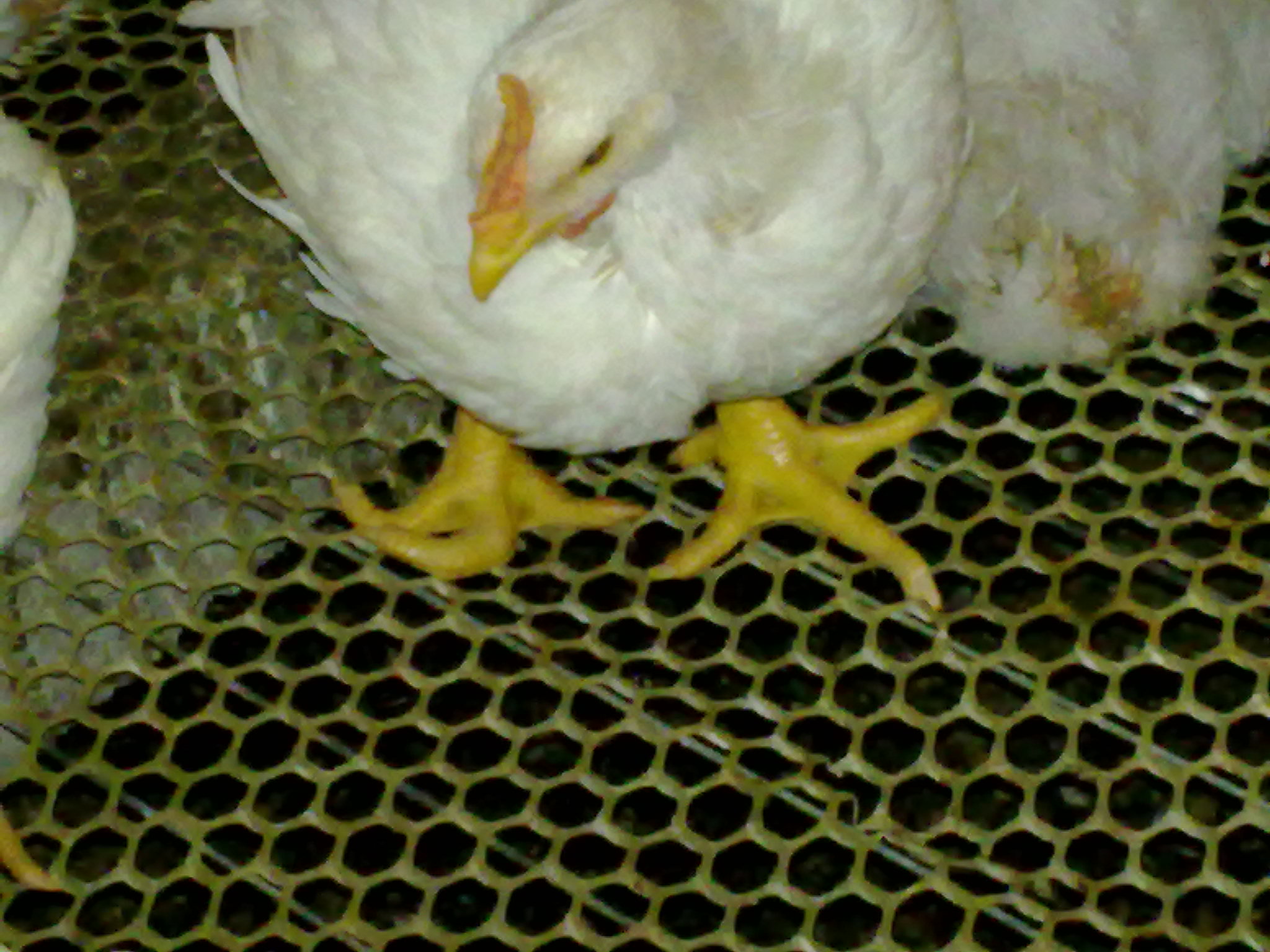 20110430032.jpg