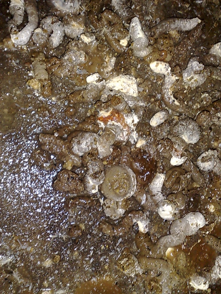 20110927296.jpg