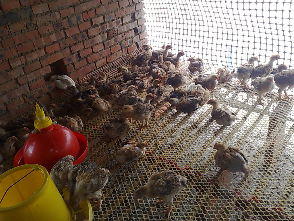20110927298.jpg