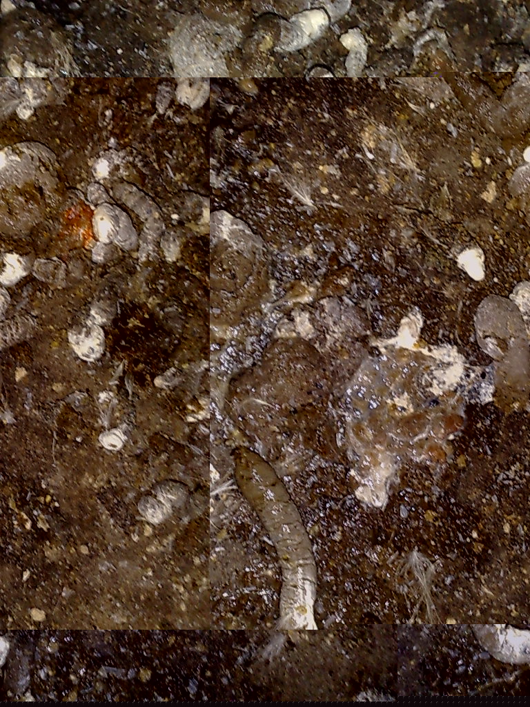 20110927297.jpg