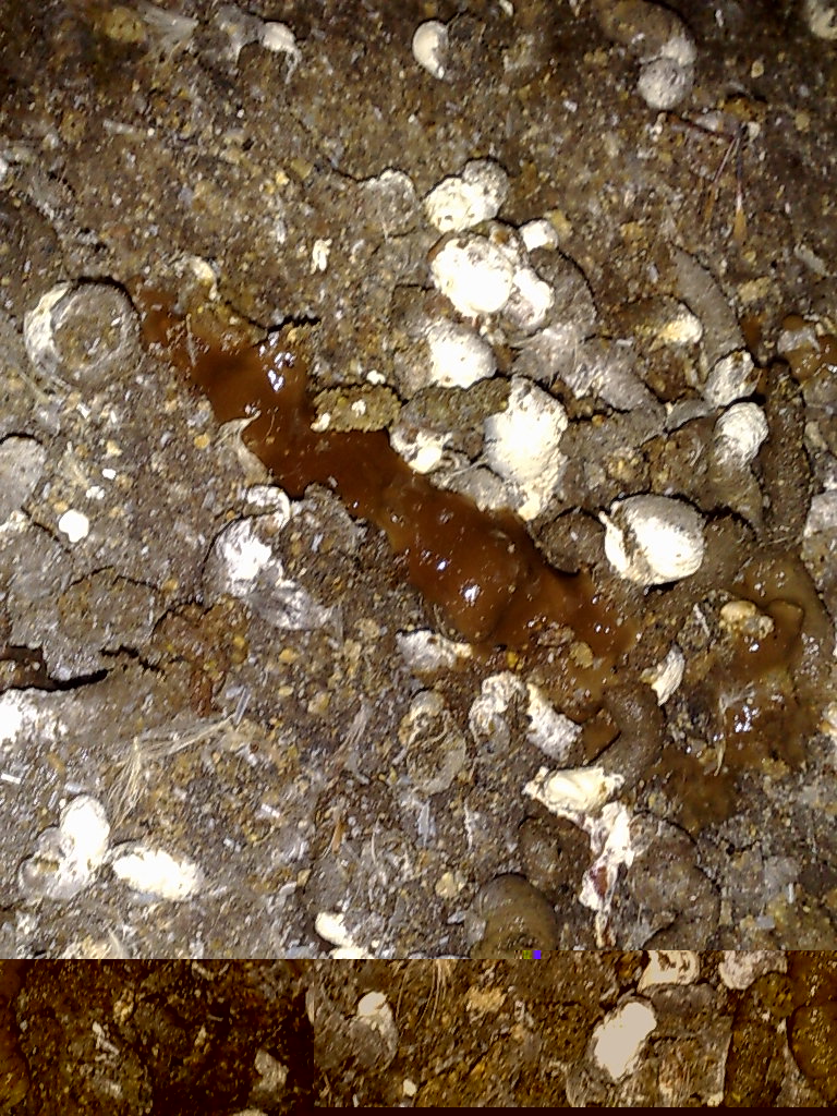 20110927293.jpg