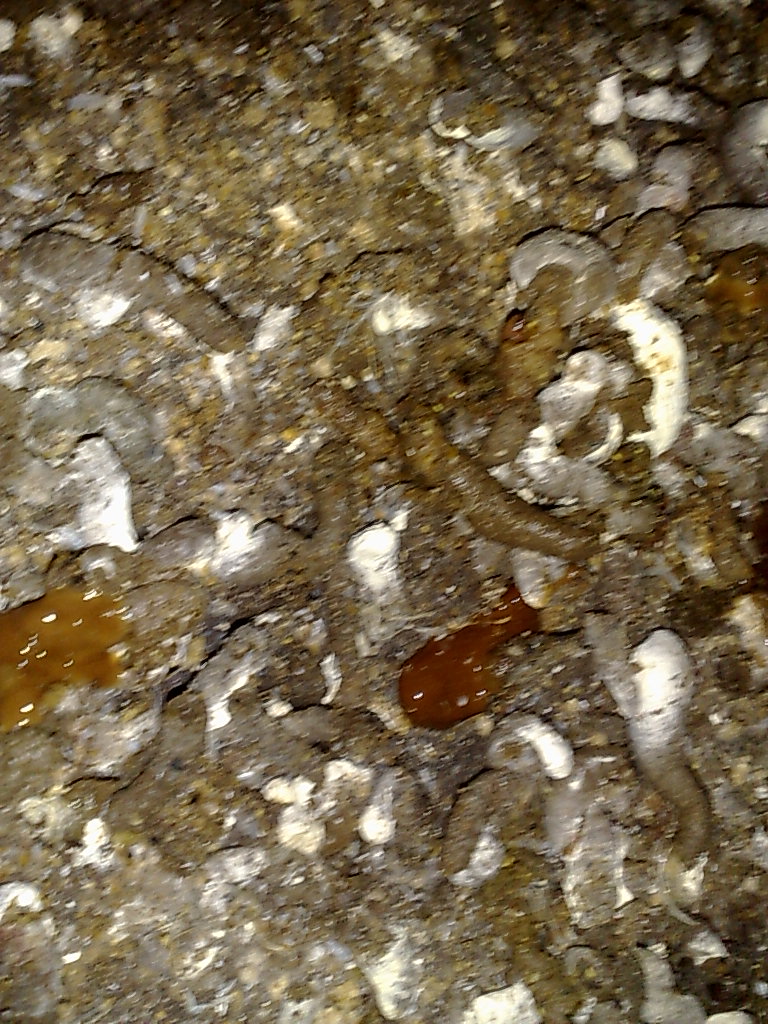 20110927294.jpg