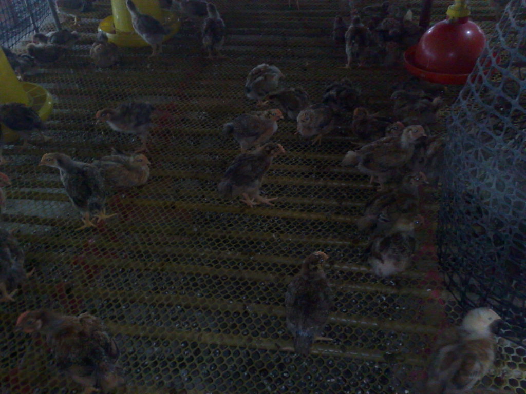 20110927300.jpg