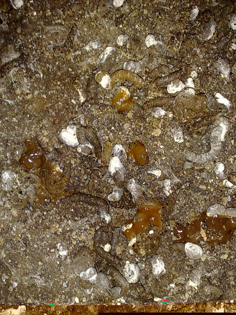 20110927295.jpg
