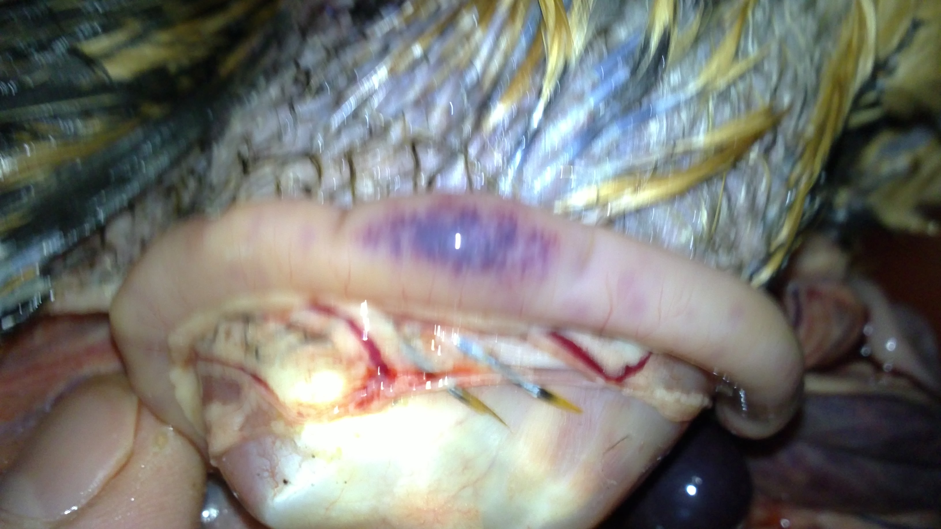 20110922103.JPG