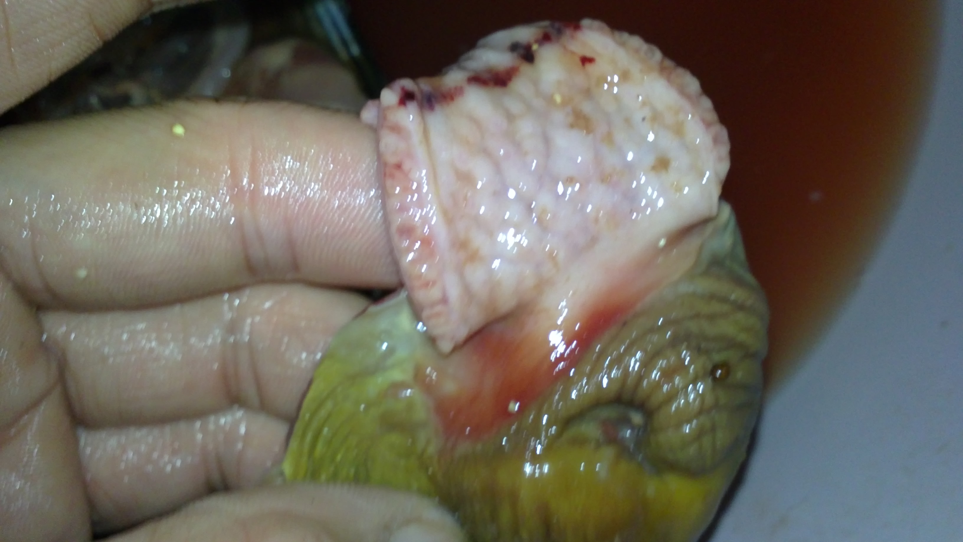20110922106.JPG