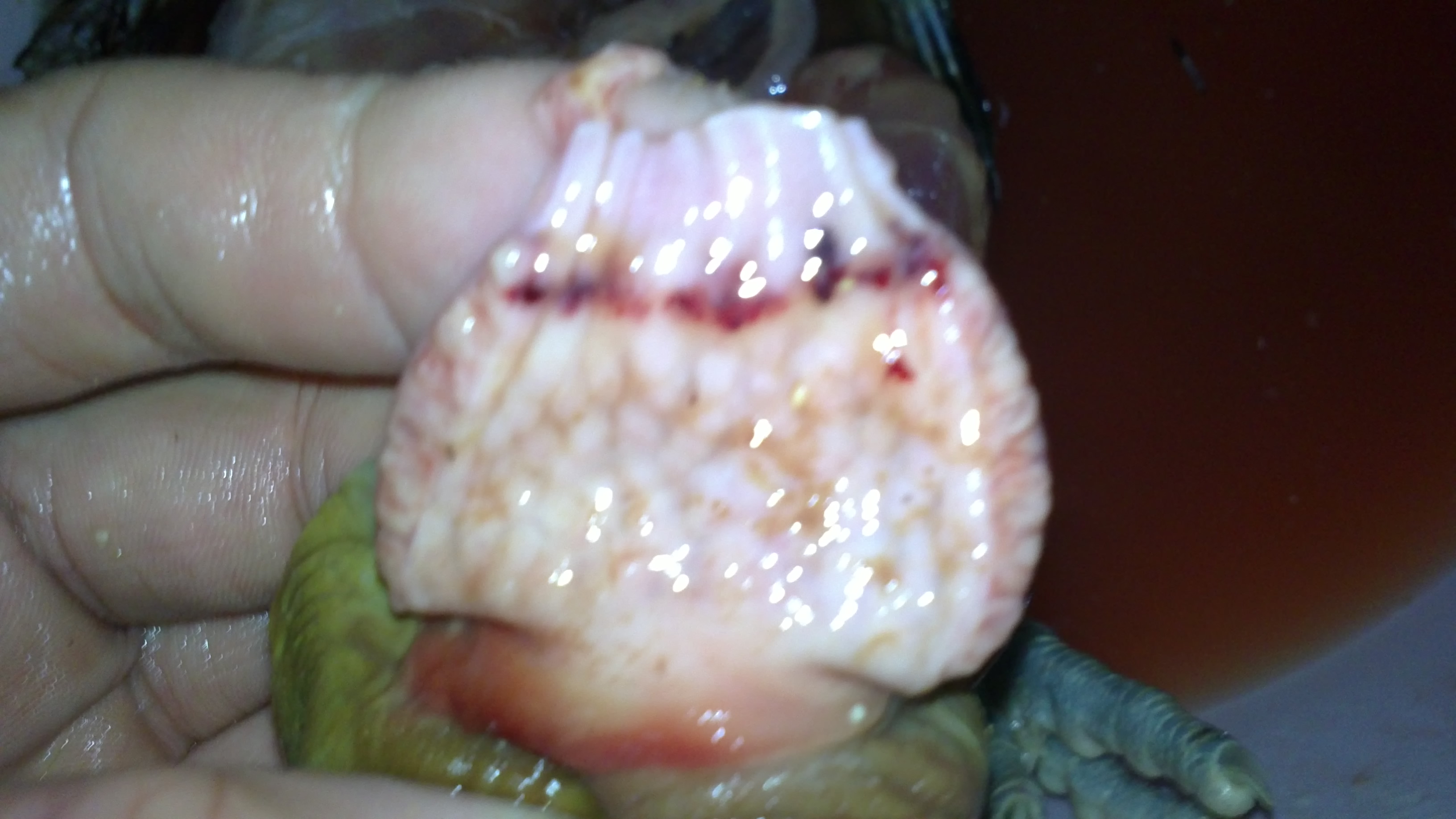 20110922105.JPG