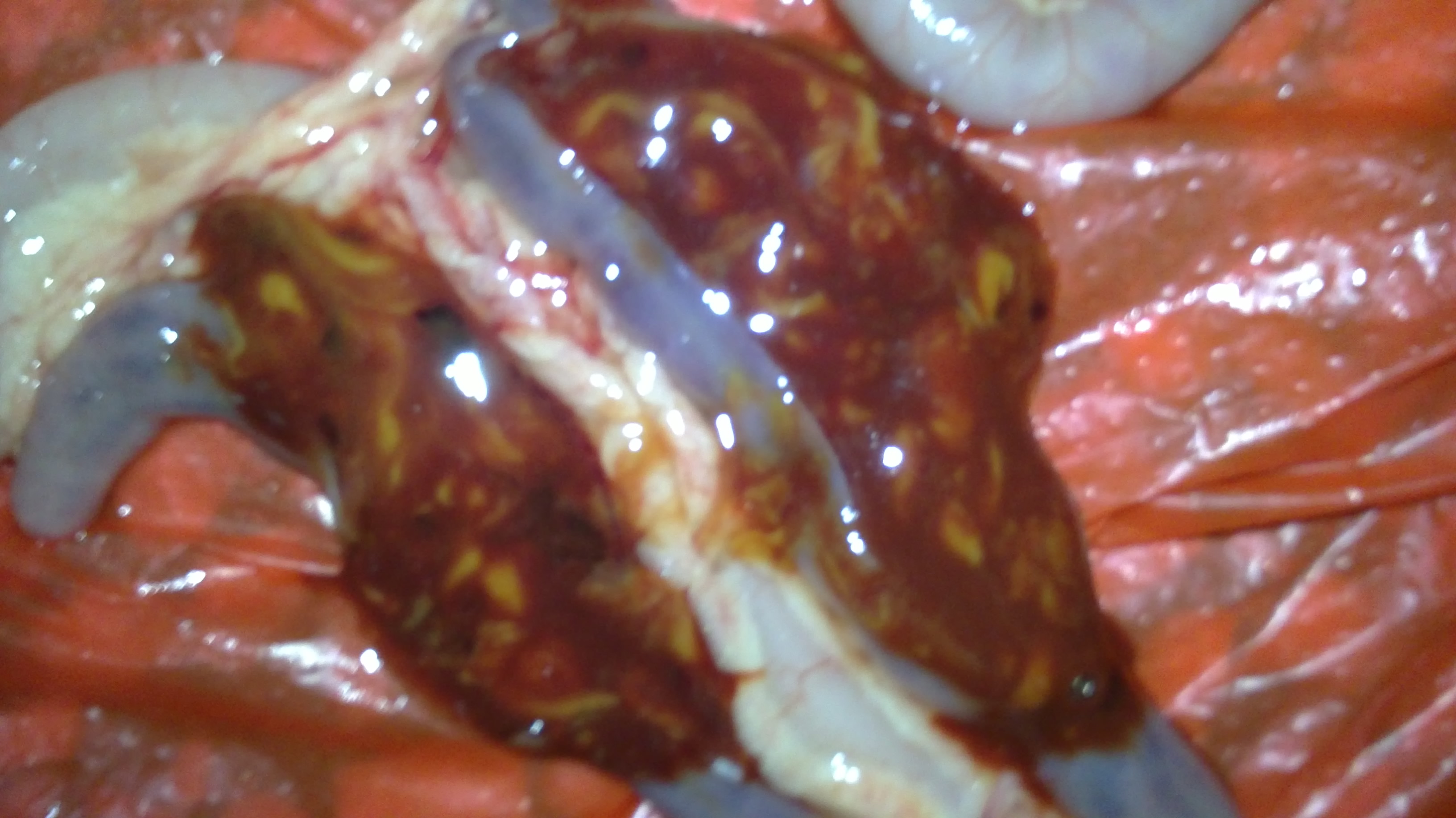 20110922112.JPG
