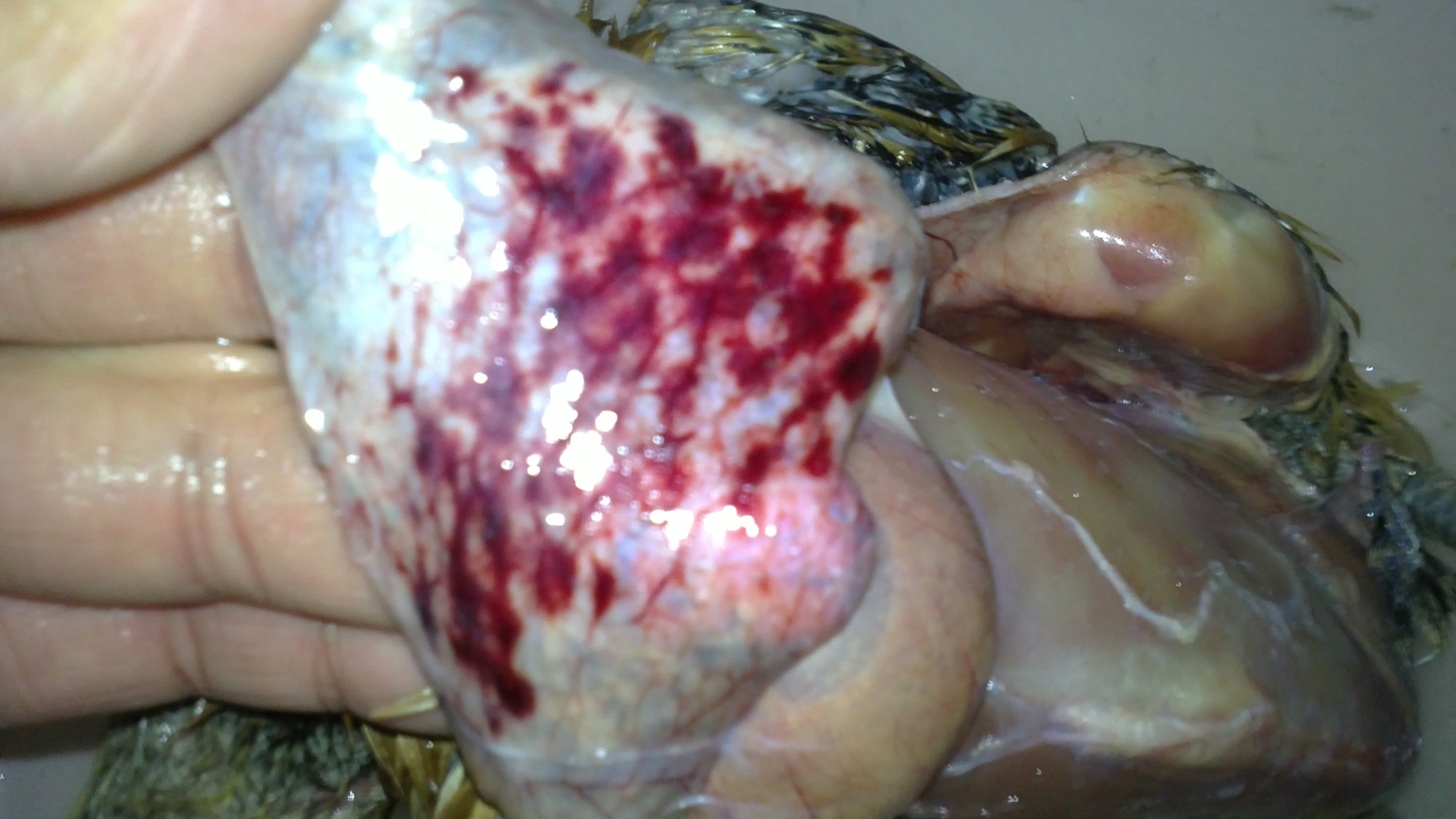 20110922100.JPG