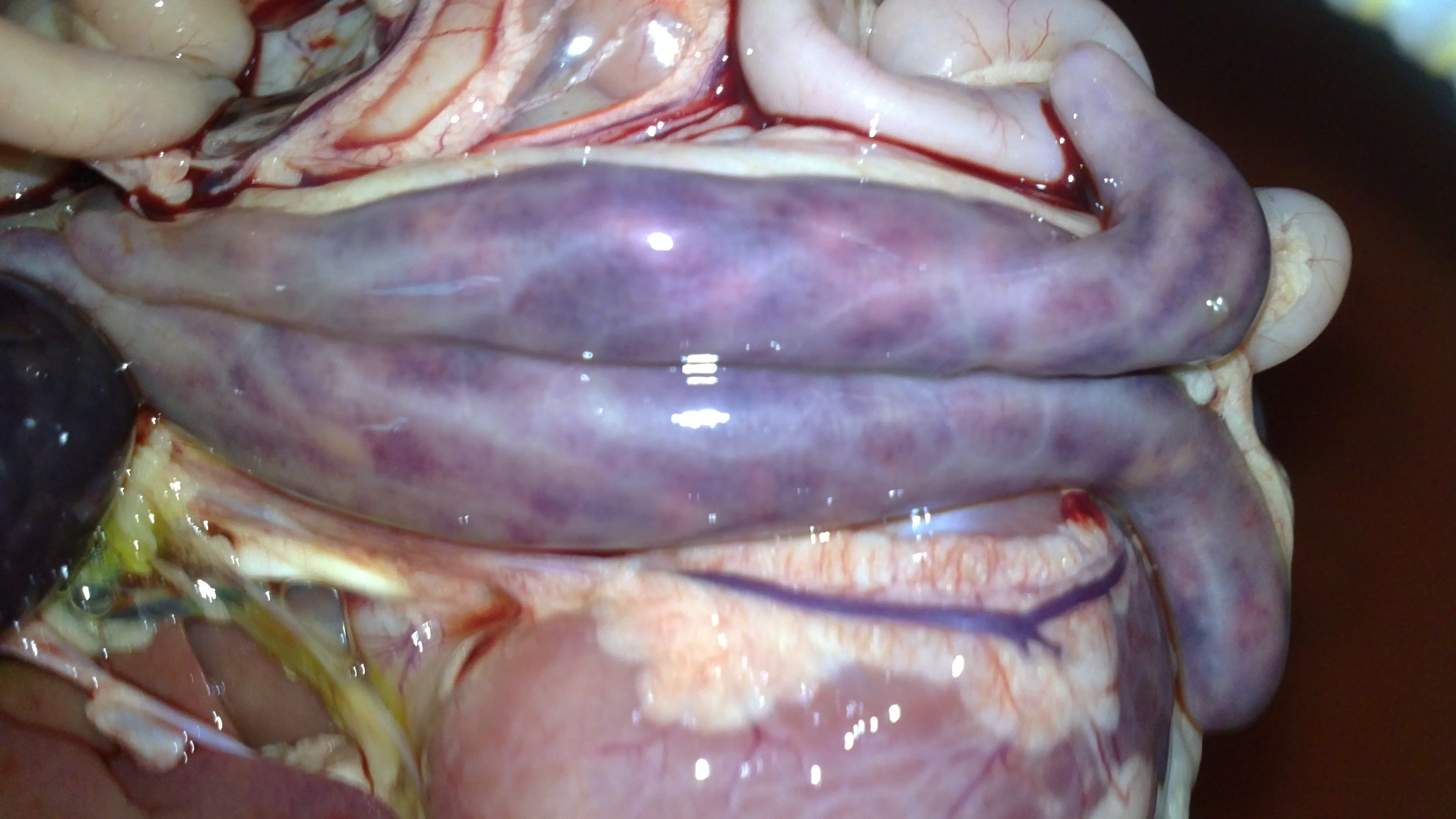 20110922104.JPG