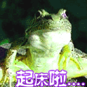 34.gif
