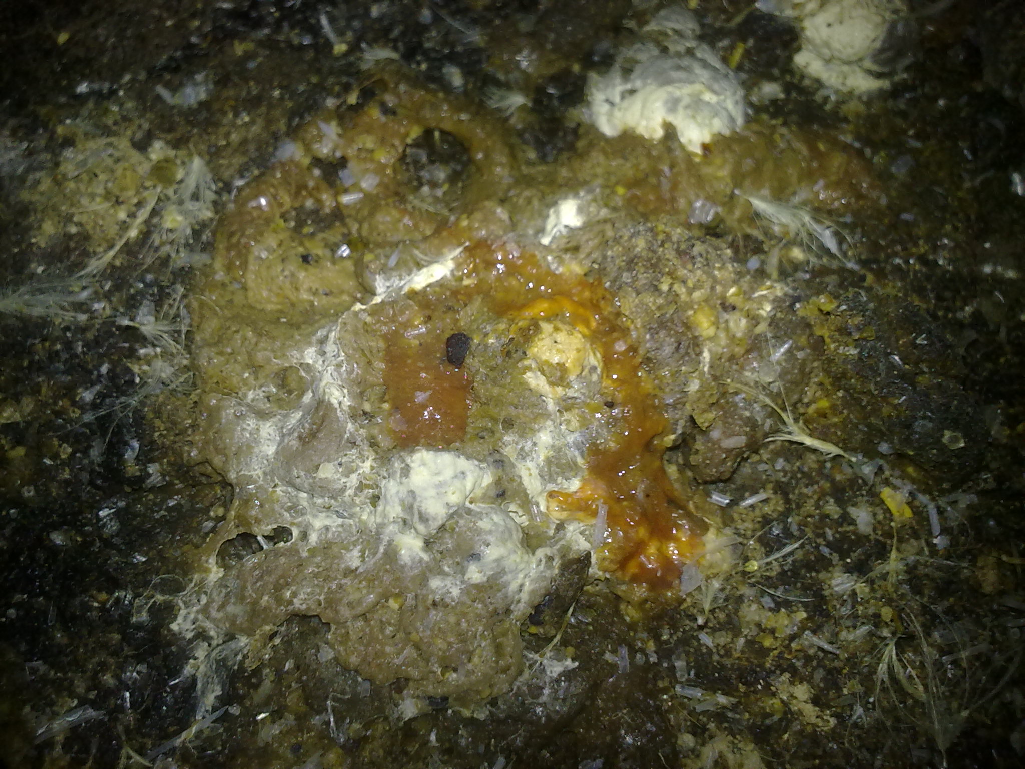 20110922288.jpg