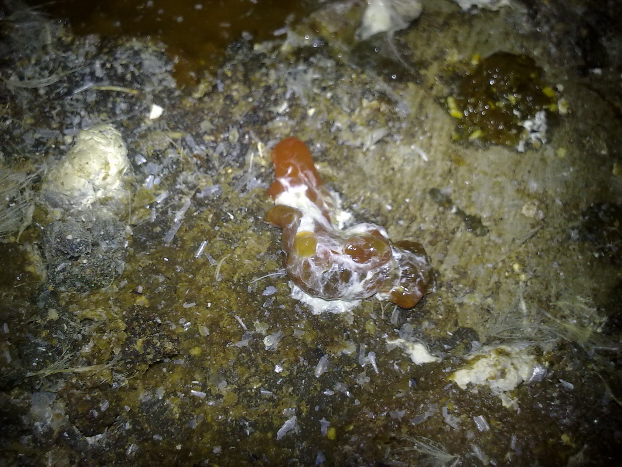 20110922286.jpg