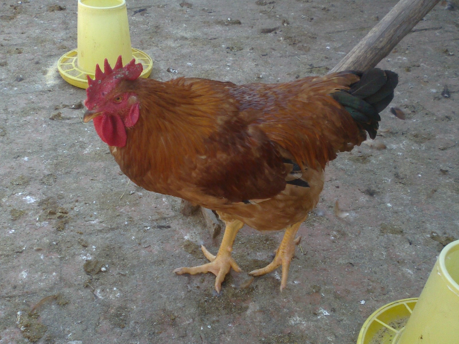 20110921031.jpg