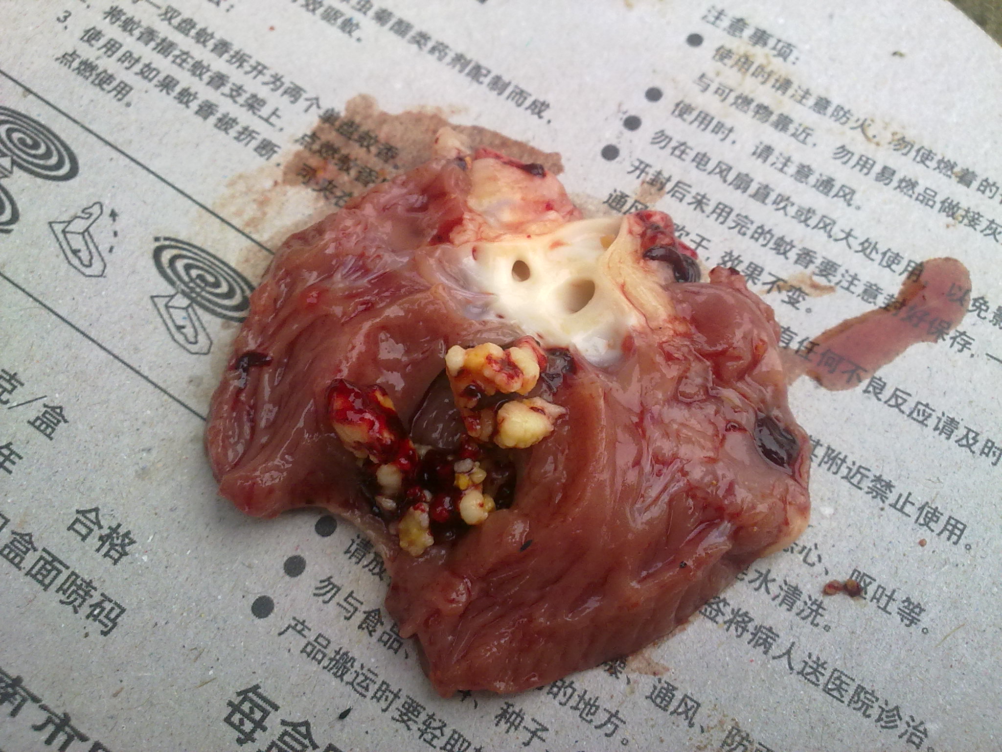 20110929153.jpg