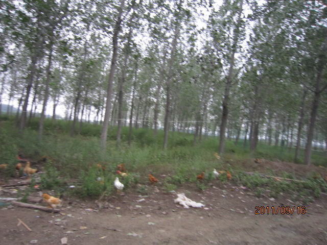IMG_1238.JPG