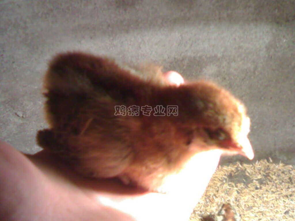 20111025077.jpg