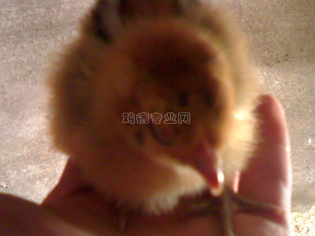 20111025076.jpg