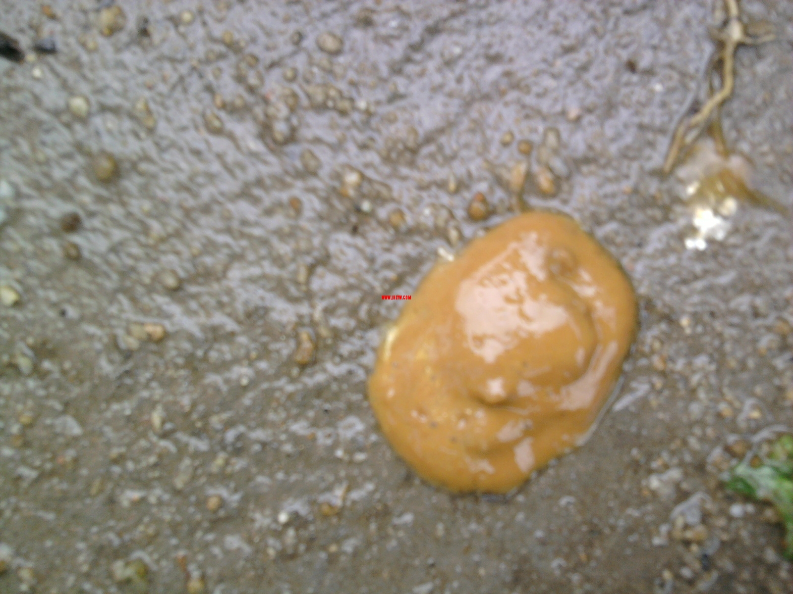 Ƭ0193.jpg