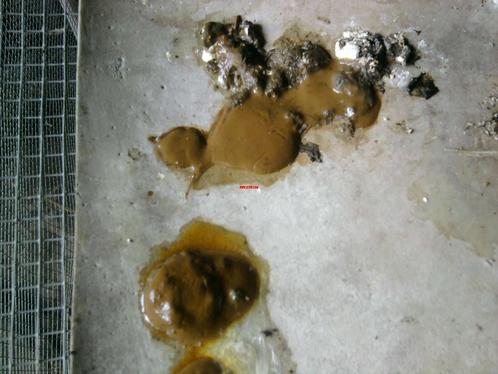 Ƭ0202.jpg