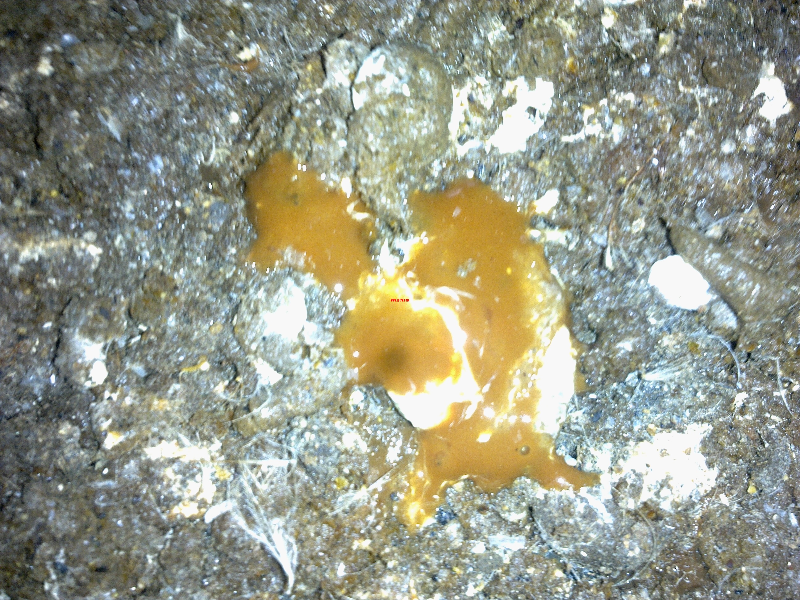 20111003062.jpg