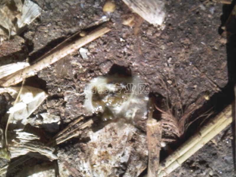 Ƭ-0080.jpg