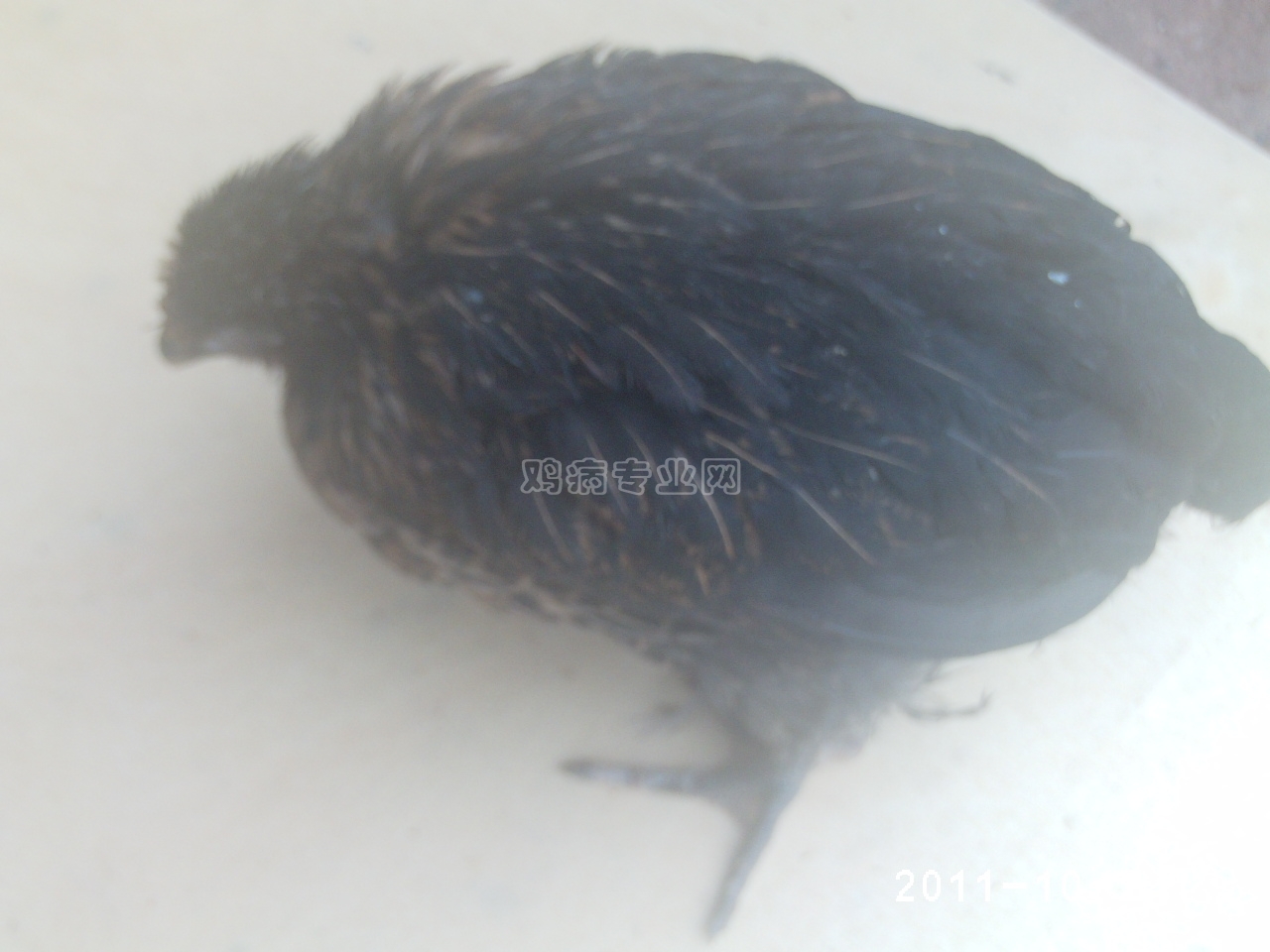 PHOT0082.JPG