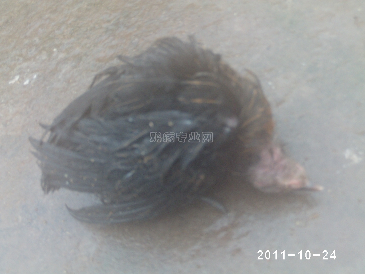 PHOT0097.JPG
