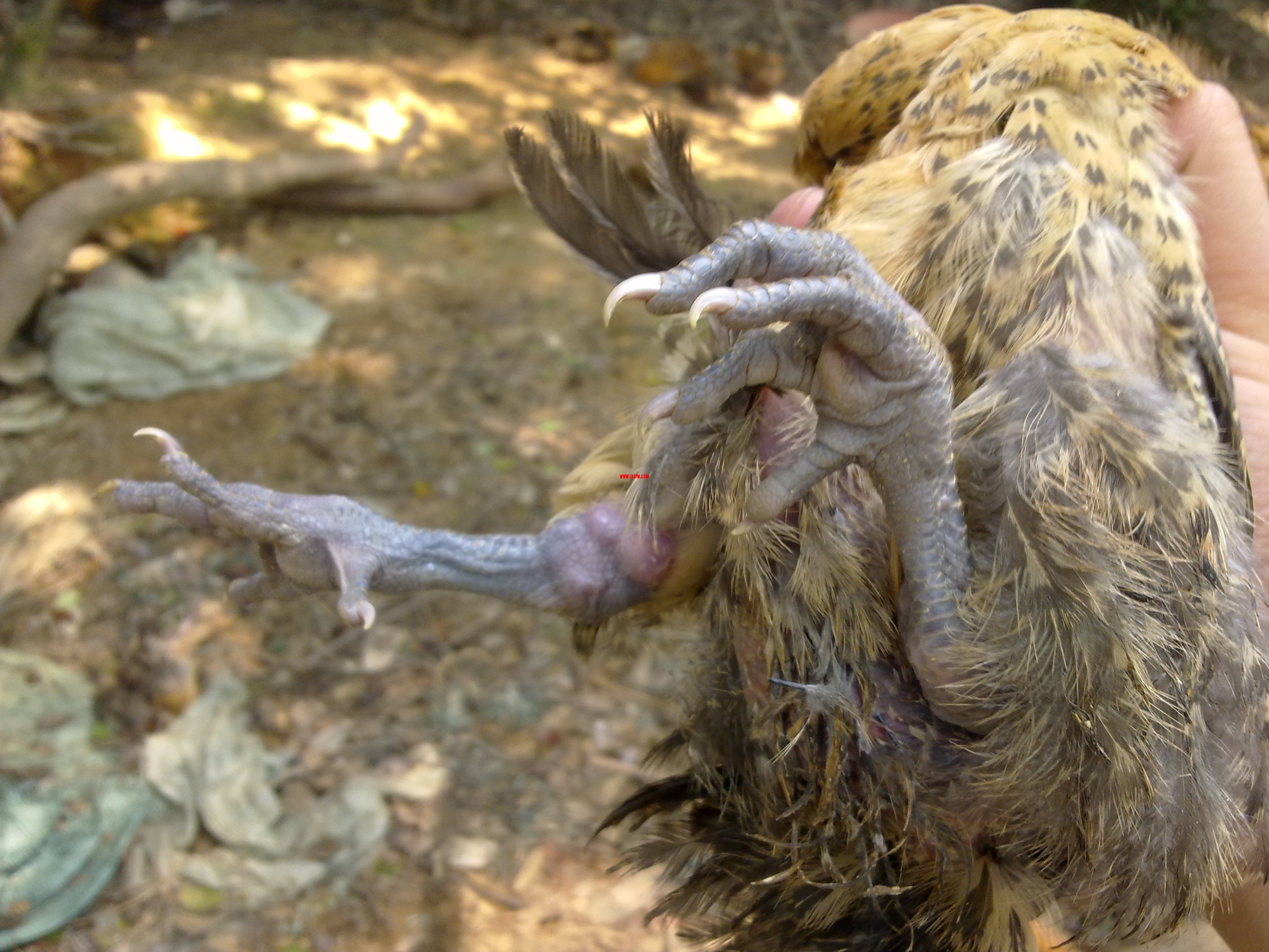20110914209.jpg