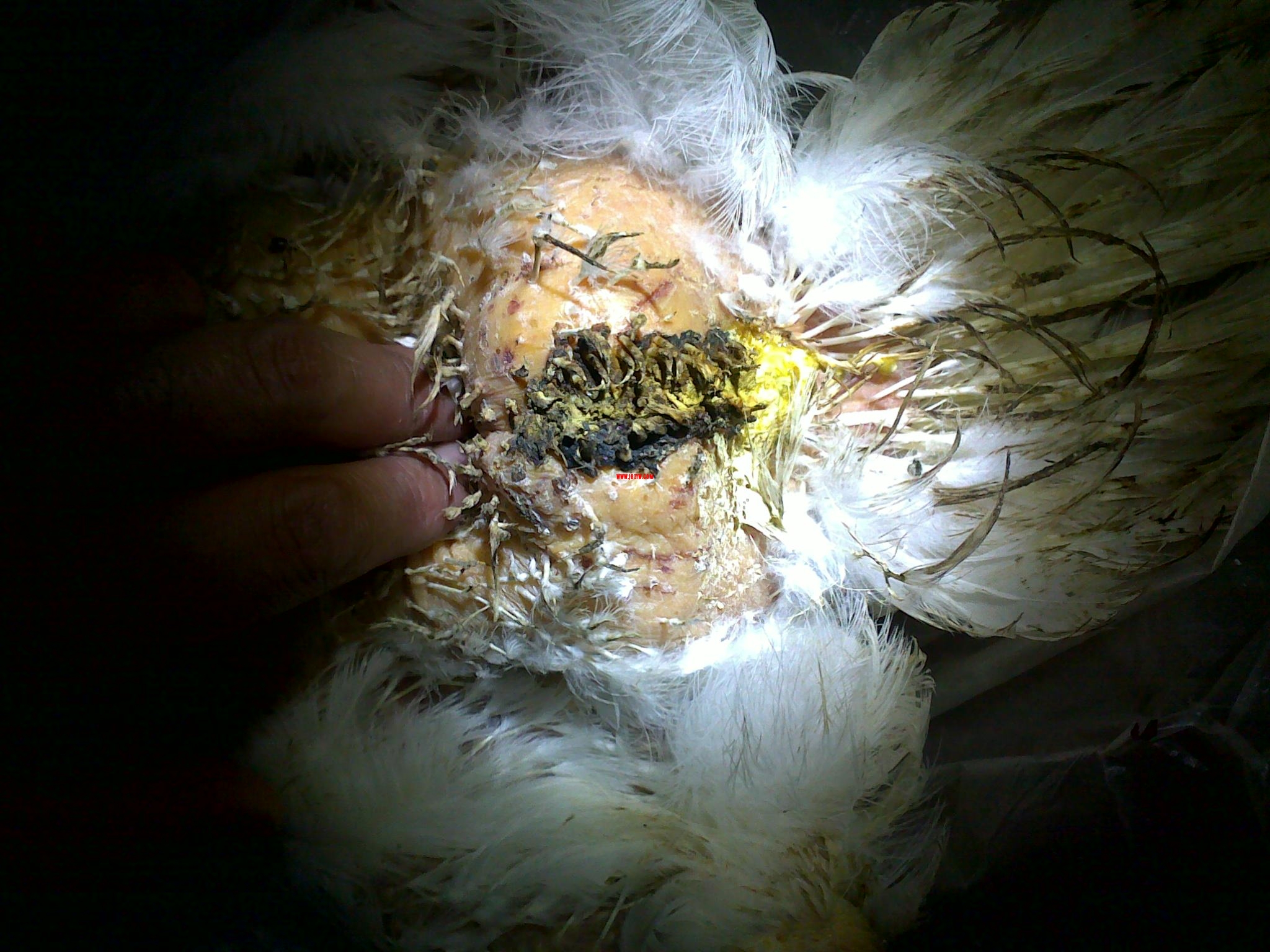 20111004084.jpg