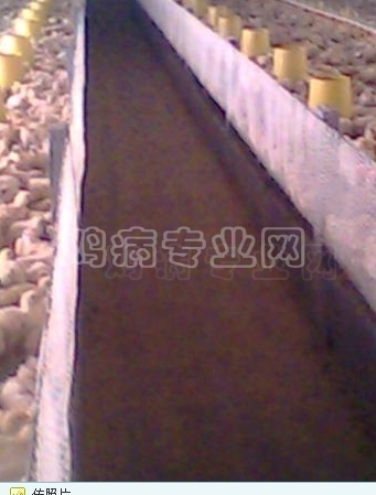 QQͼ20111022111036.JPG