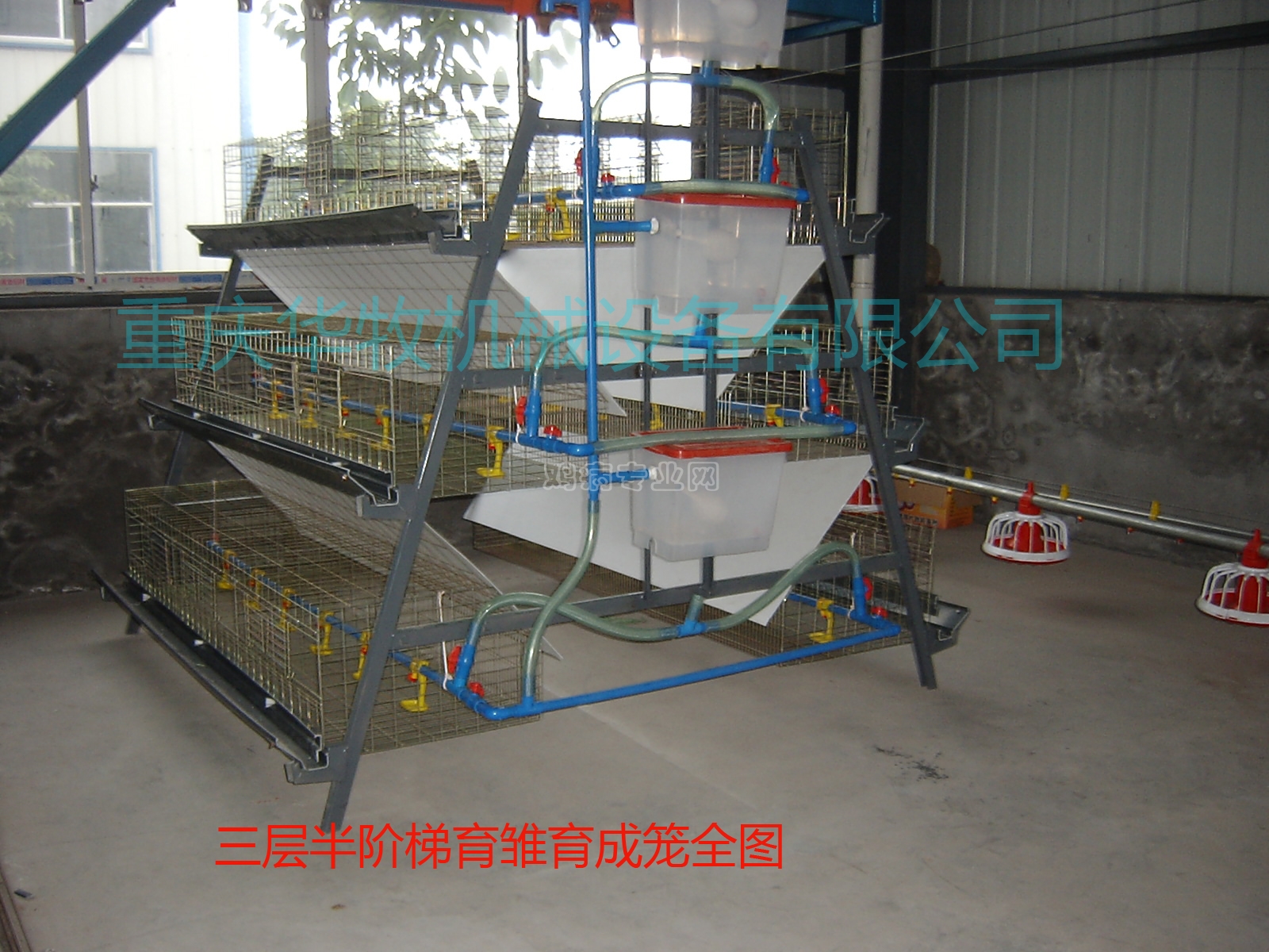 201009110245395.jpg