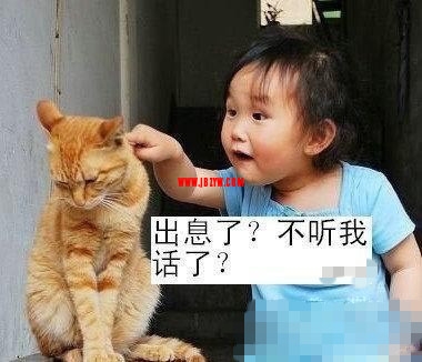 2011911272433931.jpg