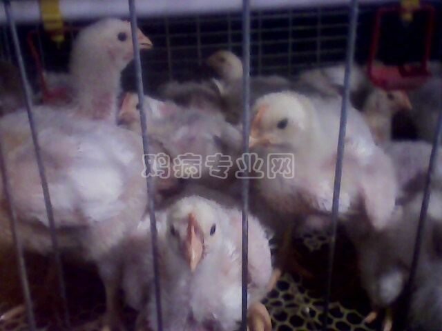 IMG0146A.jpg