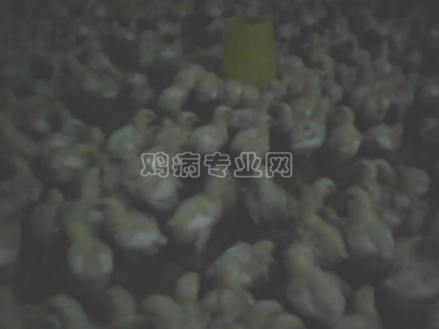 IMG0320A.jpg