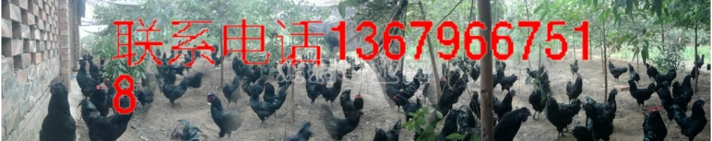 Ƭ02.jpg