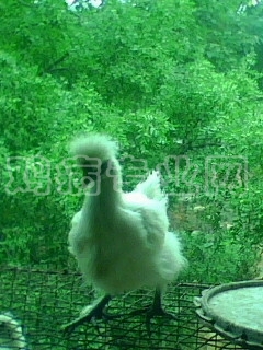 IMG0257A.jpg